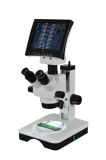 Stereo Microscope with Video
