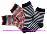 Socks (HYSYP122901)