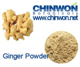 100% Pure Natural Seasoning Ginger Powder