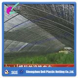 Shade Net