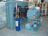 Bizter Condensing Unit for Deep Freezer