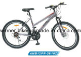 Adult Mountain Bicycle (ANB12PR-26107)