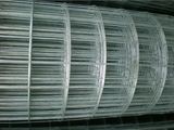 Welded Wire Mesh