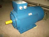 Ie2 (CE) Y2 Three Phase Electric Motor (Y2-315S-4)