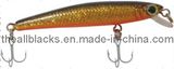 Fishing Accessories - Fishing Lure - Bait - 5235