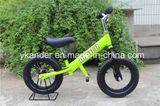 Green Color Push Bike/Kid Bike (AKB-1226)