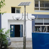 10m 50W LED Solar Lights for Garden Light (JS-E201510250)