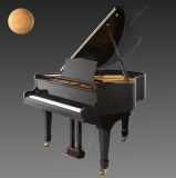 Musical Instrument Chloris Grand Piano (HG-158E) with Digitalsystem
