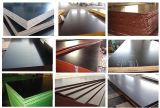 China Film Faced Construction Plywood (ZL-CP)