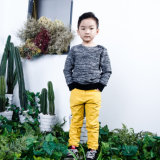 Fashion Winter Knitted Children Clothing Kids Apparel for Boys
