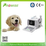 Veterinary Medical Equipment for Ultrasound