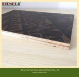 1250X2500X21mm Cheapesst Price Finger Joint Core Film Faced Plywood