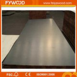 Hot Sale Black Film Faced Plywood to MID-East (FYJ1542)