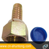 Hose Fittings with O-Ring Seal (metric female)