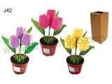 Novel Gift, Tulip Towel Flower (J42)