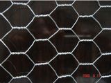 Hexagona Wire Mesh, Rabbit Netting