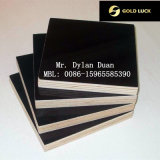Film Faced Plywood for Importing