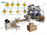 Rice/Bags Into Cartons Packing Machine (LB450.3)