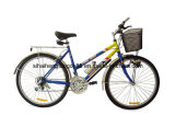 Lady 38mm Pipe Mountain Bicycle for Sale (SH-MT245)