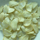 Dehydrated Garlic Slice/Flake