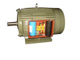 (CE) YC Single Phase Electric Motor (YC(aeef)132M-4)