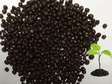 Agriculture Grade Diammonium Phosphate/DAP Fertilizer