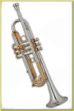 Bb Trumpet (TR-L7C8C2)