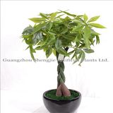 Artificial Bonsai, Artificial Plant Artificial Lucky Tree