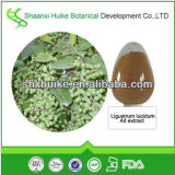 100% Natural Loquat Leaf Extract 98% Oleanic Acid