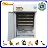 300 Eggs Small Chicken Egg Incubator Yzite-6