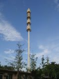 Octagonal Steel Telecommunication GSM Conical Mast (ray37)