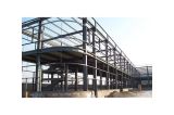 Professional Steel Structure Buildings