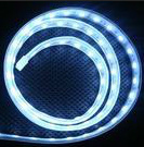 LED Rope Light, Waterproof LED Neon Rope Light, DC12V LED Flexible Strip, Easy Bend Strip Light