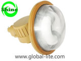 (EX-9120) Induction Light for Induction Gas Station Light