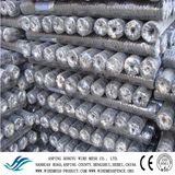 Electro Galvanized and PVC Hexagonal Wire Mesh Netting