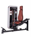 Seated Calf Machine Fitness Equipment