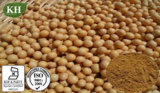 Natto Extract Nattokinase: 5000fu/G, 12000fu/G, 20000fu/G