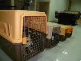 Firm Pet Carrier&Cages for Chirstmas Gifts Pet Products (1003)