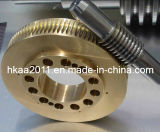 OEM Custom Stainless Steel/Brass Stepper Motor Worm Gear