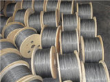 Stainless Wire Rope Factory