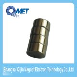 Rare Earth Permanent Cylinder Material Magnet