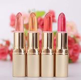 New Cosmetics Makeup Many Colors Gradual Color Change Waterproof Lipstick