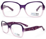 2012 New Models of Glasses Frames Stylish Optical Frame Acetate Eyewear Optical (BJ12-003)