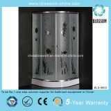 Best Selling Colorful Glass Shower Room (BLS-9603)