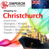 Sea Freight Shipping From China to Christchurch, New Zealand