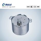 Small Synchronous Motor