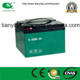 Rechargeable 12V30ah Low Self-Discharge Rate Lead-Acid Battery