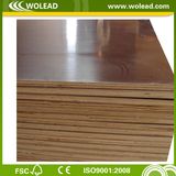 High Quality Film Faced Plywood for Construction (w15526)