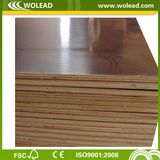 High Quality Film Faced Plywood for Construction (w15526)