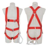 Safety Harness - 1 D Ring, Model# DHQS0037